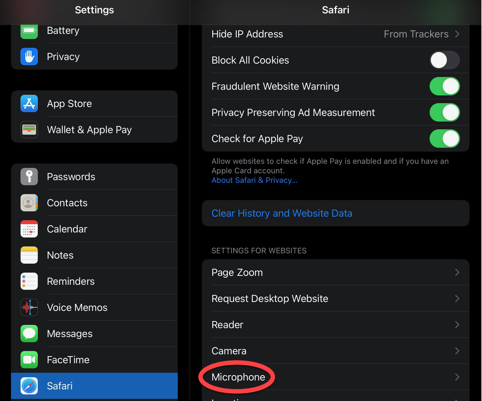 mic_in_safari_settings.jpeg